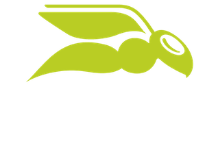 Proofpoint and Hornetsecurity