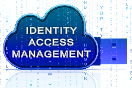 Identity & Access Management (IAM)
